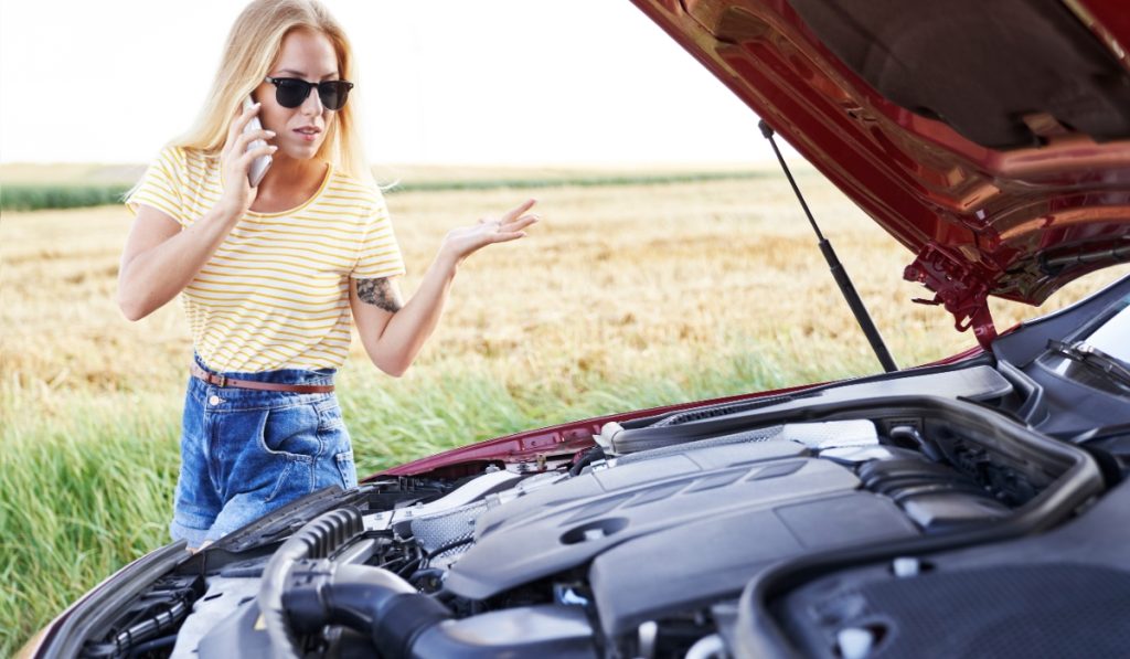 Driver reacts to engine failure while calling for help by the roadside